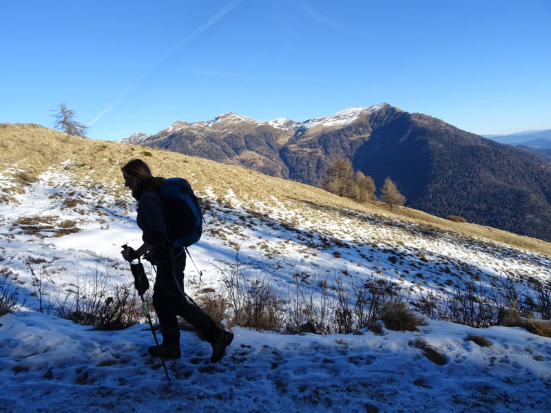 Cimon di Bolentina m. 2287 - Piz di Montes m. 2368